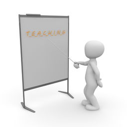 kaiyun网址-高校体育教师信息化教学实践，体育教师信息技术应用能力