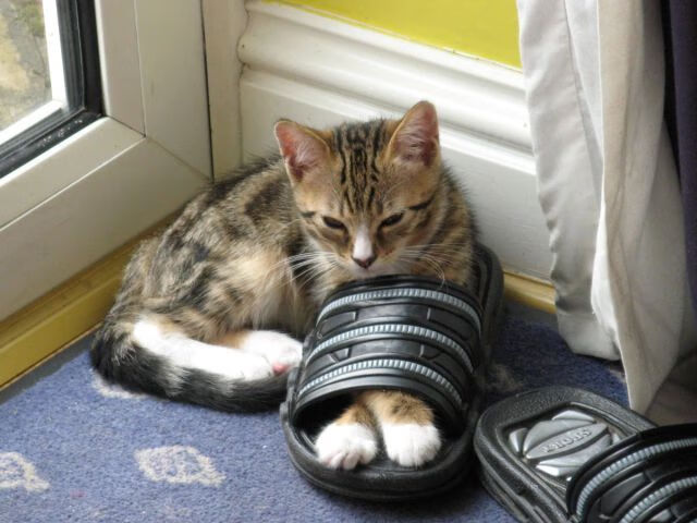 中国男篮比赛中控制失误 降低失分风险,中国男篮打落选赛