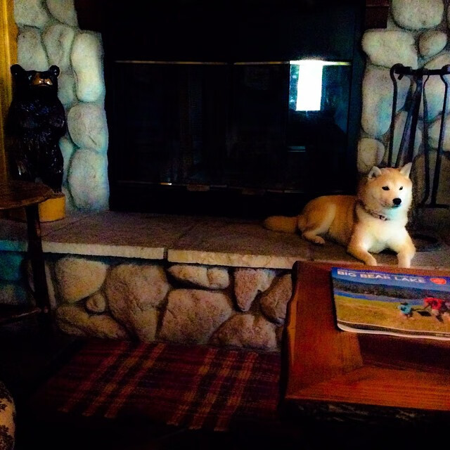 高频率挡拆是否容易被对手识破，高频zvs