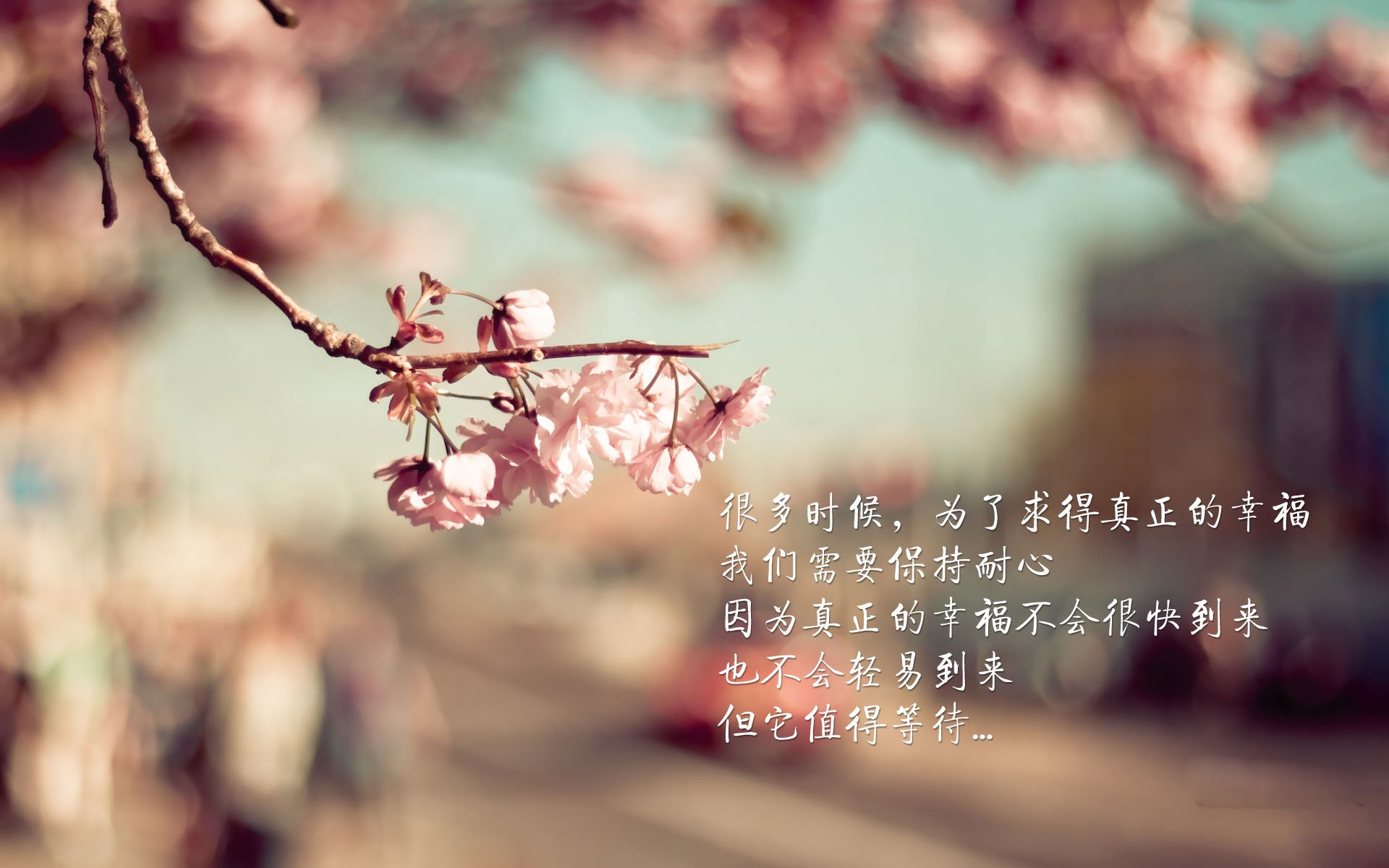 乌拉圭队整体实力提升，国际赛场志在夺冠