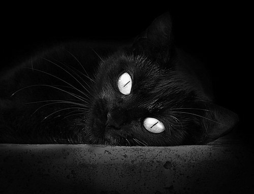 克洛普率领利物浦迎接新赛季挑战