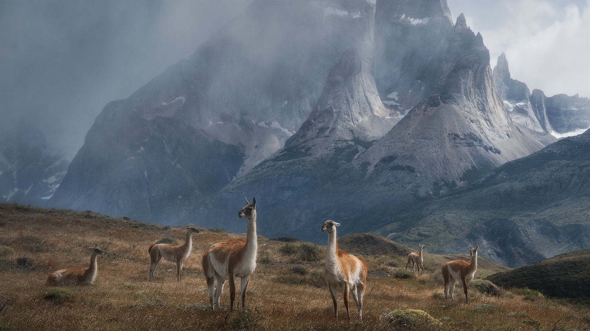 利物浦在欧冠中稳步前行，追逐冠军梦想